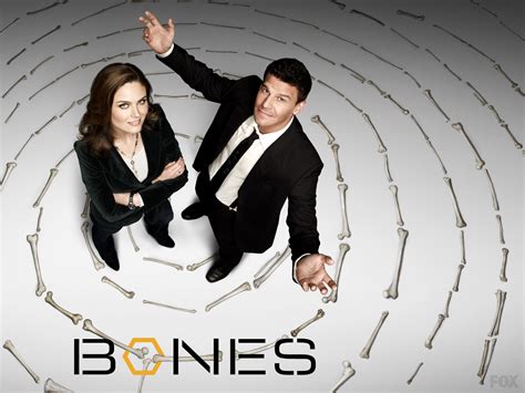 series bang bones|bones tv show seasons.